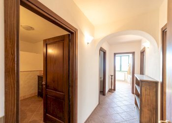 Foto 11 - Rustico Colle di Lupo, Magliano in Toscana - foto 11