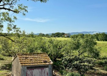 Foto 5 - Rustico LA CARLA, Magliano in Toscana - foto 5