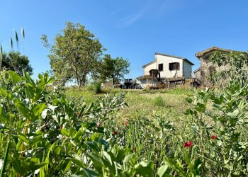 Foto 6 - Rustico LA CARLA, Magliano in Toscana - foto 6