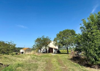 Foto 8 - Rustico LA CARLA, Magliano in Toscana - foto 8