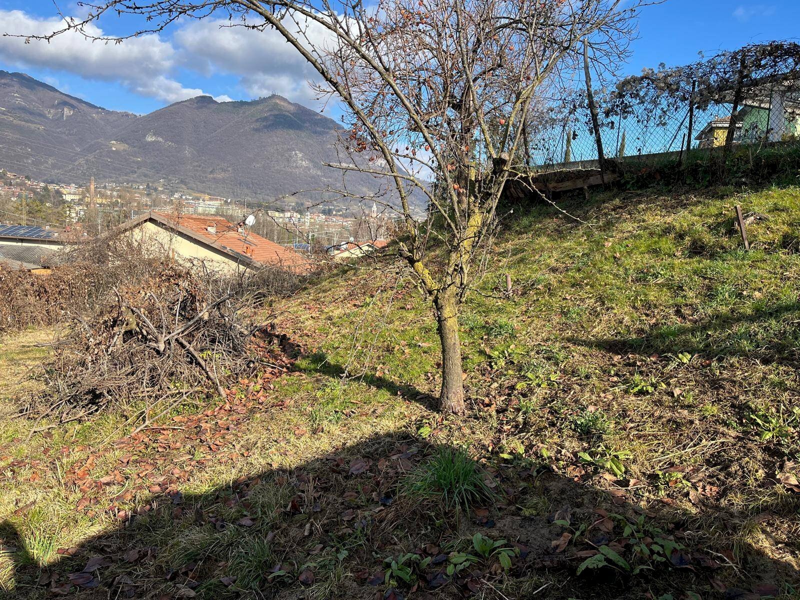 Foto 3 - Terreno agricolo via Guglielmo Marconi, Pradalunga - foto 3