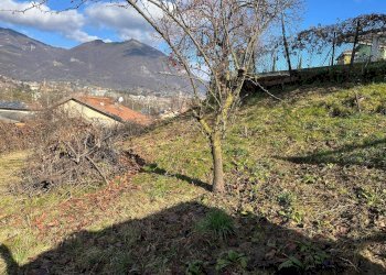 Foto 3 - Terreno agricolo via Guglielmo Marconi, Pradalunga - foto 3