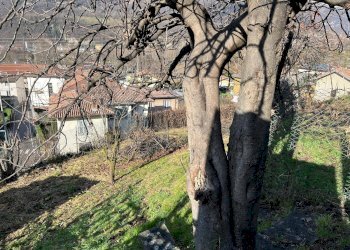 Foto 4 - Terreno agricolo via Guglielmo Marconi, Pradalunga - foto 4