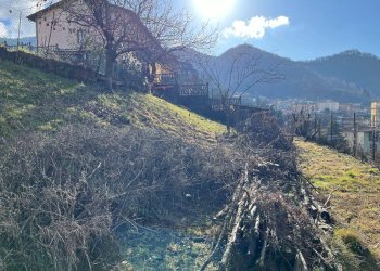 Foto 8 - Terreno agricolo via Guglielmo Marconi, Pradalunga - foto 8