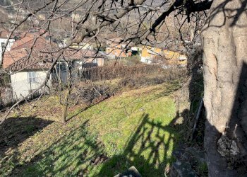 Foto 10 - Terreno agricolo via Guglielmo Marconi, Pradalunga - foto 10