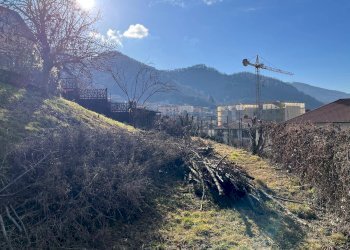 Foto 16 - Terreno agricolo via Guglielmo Marconi, Pradalunga - foto 16