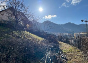 Foto 18 - Terreno agricolo via Guglielmo Marconi, Pradalunga - foto 18