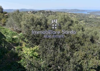 vista - Terreno edificabile Santa Teresa Gallura - foto 9