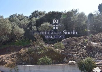 Foto 19 - Terreno edificabile Santa Teresa Gallura - foto 18