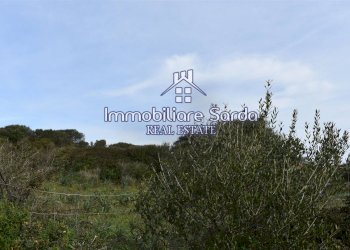 vista - Terreno edificabile Aldo Moro, Santa Teresa Gallura - foto 3