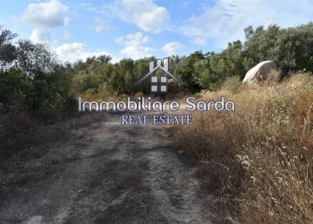 Foto 2 - Terreno agricolo Statale 125 Orientale Sarda, Arzachena - foto 2