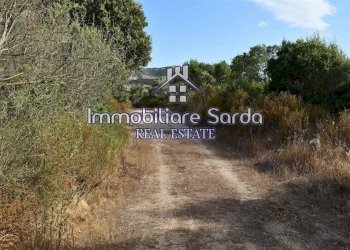 Foto 4 - Terreno agricolo Statale 125 Orientale Sarda, Arzachena - foto 4