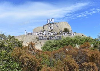 Foto 5 - Terreno agricolo Statale 125 Orientale Sarda, Arzachena - foto 5