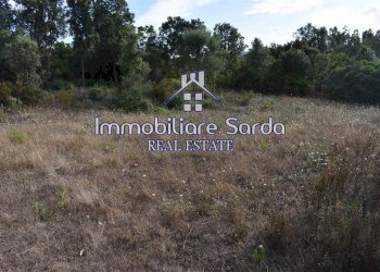 Foto 11 - Terreno agricolo Statale 125 Orientale Sarda, Arzachena - foto 11