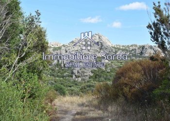 vista - Terreno agricolo Statale 125 Orientale Sarda, Arzachena - foto 13