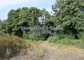 Foto 16 - Terreno agricolo Statale 125 Orientale Sarda, Arzachena - foto 16