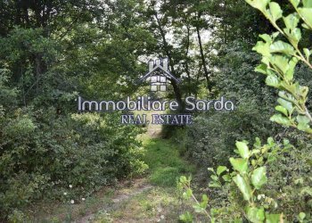 Foto 19 - Terreno agricolo Statale 125 Orientale Sarda, Arzachena - foto 19