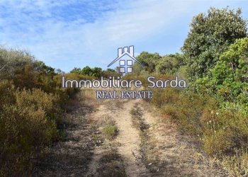 Foto 20 - Terreno agricolo Statale 125 Orientale Sarda, Arzachena - foto 20