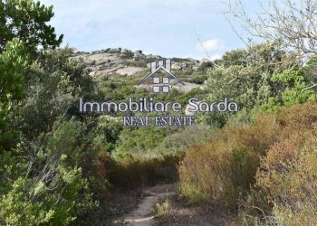 Foto 21 - Terreno agricolo Statale 125 Orientale Sarda, Arzachena - foto 21