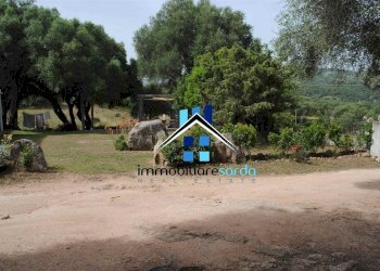 Foto 6 - Casa semi indipendente Loc. Sole Ruiu, Olbia - foto 6