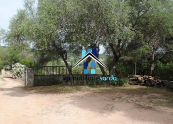 Foto 7 - Casa semi indipendente Loc. Sole Ruiu, Olbia - foto 7