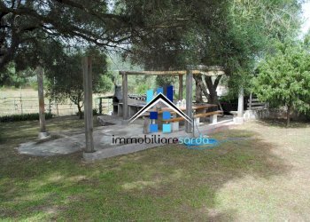 giardino - Casa semi indipendente Loc. Sole Ruiu, Olbia - foto 8