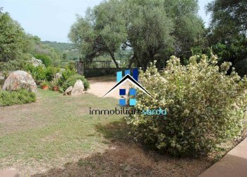 giardino - Casa semi indipendente Loc. Sole Ruiu, Olbia - foto 11