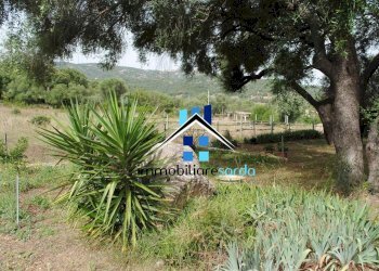 Foto 32 - Casa semi indipendente Loc. Sole Ruiu, Olbia - foto 32