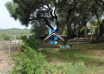 giardino - Casa semi indipendente Loc. Sole Ruiu, Olbia - foto 33