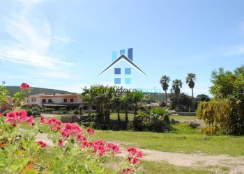 giardino - Trilocale Via del Vecchio Marino, Palau - foto 4