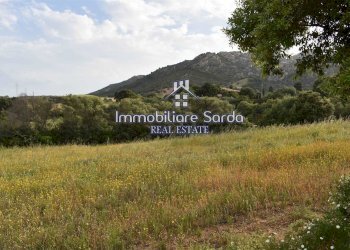 giardino - Rustico Statale 125 Orientale Sarda, Palau - foto 16