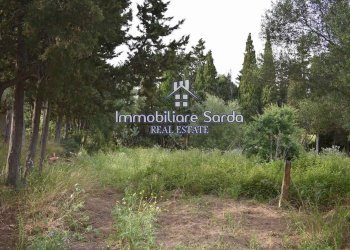 giardino - Rustico Statale 125 Orientale Sarda, Palau - foto 21