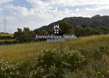 Foto 25 - Rustico Statale 125 Orientale Sarda, Palau - foto 25