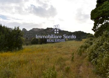 vista - Rustico Statale 125 Orientale Sarda, Palau - foto 27