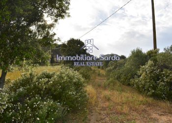 giardino - Rustico Statale 125 Orientale Sarda, Palau - foto 34