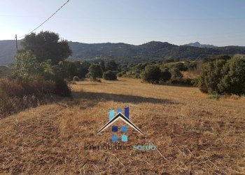 Foto 42 - Rustico Statale 125 Orientale Sarda, Palau - foto 42