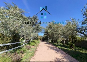 Foto 5 - Casa indipendente Statale 133 di Palau
 
44-52, Tempio Pausania - foto 5