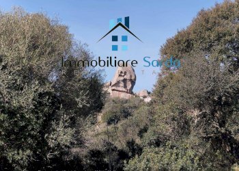 Foto 7 - Casa indipendente Statale 133 di Palau
 
44-52, Tempio Pausania - foto 7