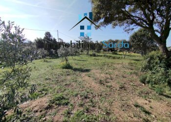 Foto 12 - Casa indipendente Statale 133 di Palau
 
44-52, Tempio Pausania - foto 12