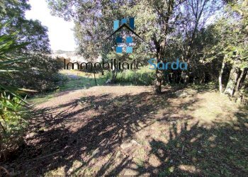 Foto 16 - Casa indipendente Statale 133 di Palau
 
44-52, Tempio Pausania - foto 16