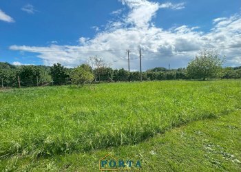 Foto 19 - Casa indipendente Località isola soprana
 
1, Bastia Mondovì - foto 19