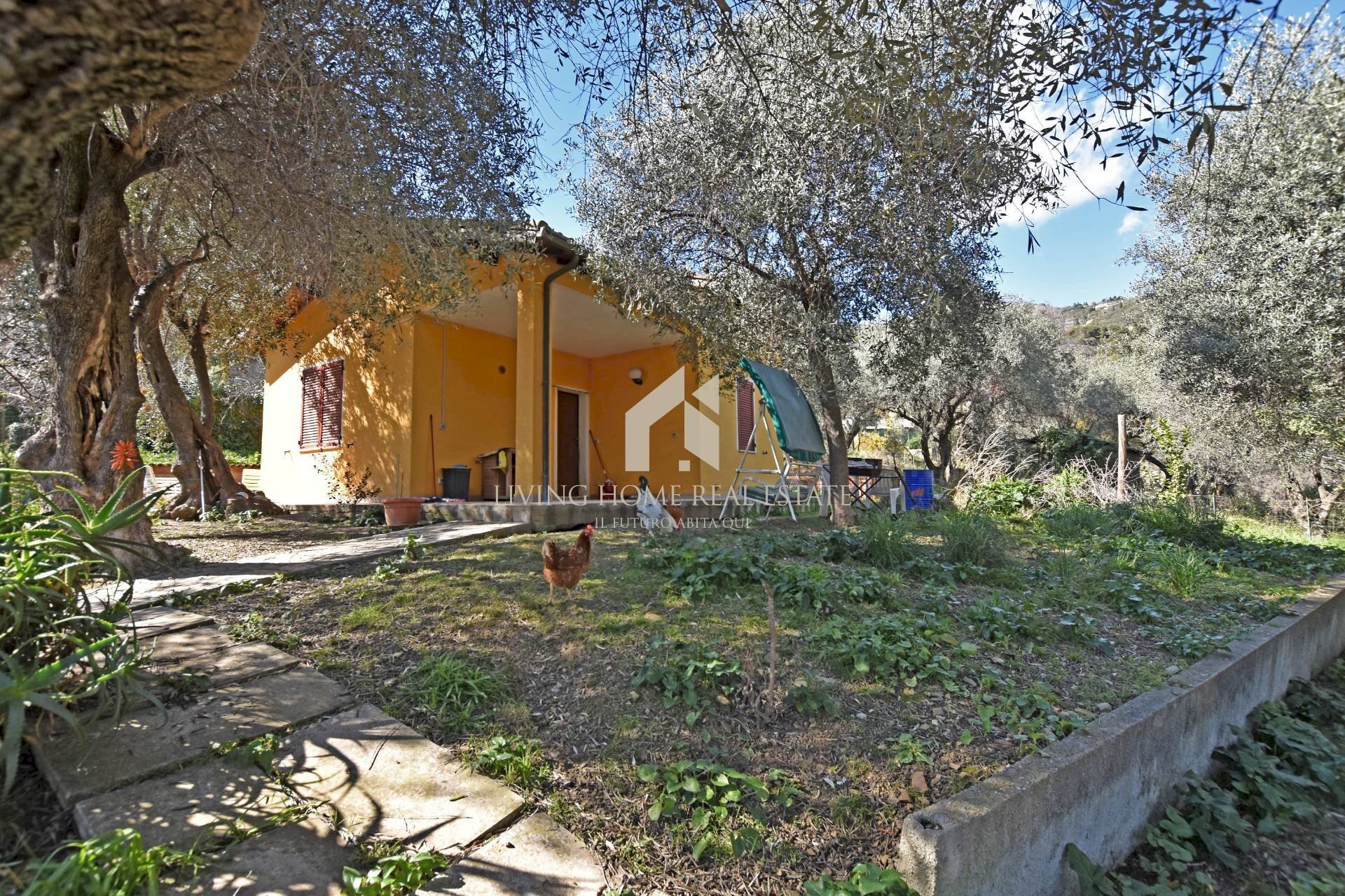 Foto 2 - Independent house Strada Isola Inferiore, Sanremo - photo 2