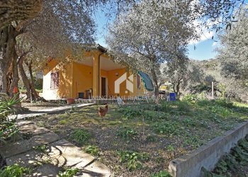 Foto 2 - Independent house Strada Isola Inferiore, Sanremo - photo 2