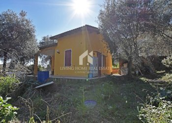 Foto 5 - Independent house Strada Isola Inferiore, Sanremo - photo 5