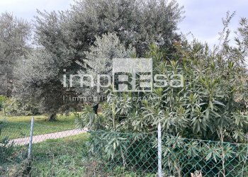 Foto 15 - Terreno edificabile via Bindoni
 
1, Treviso - foto 15