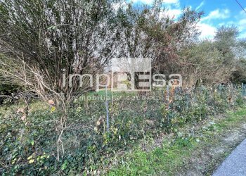 Foto 18 - Terreno edificabile via Bindoni
 
1, Treviso - foto 18