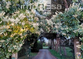 Foto 7 - Rustico Jesolo - foto 7