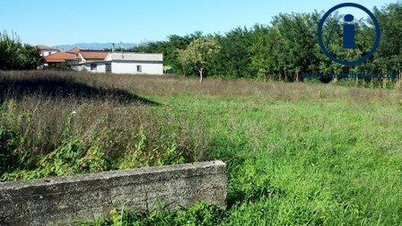 Foto 3 - Terreno edificabile LOCALITA' STRADELLE
 
1, Alvignano - foto 3