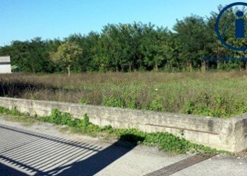 Foto 1 - Terreno edificabile LOCALITA' STRADELLE
 
1, Alvignano - foto 1