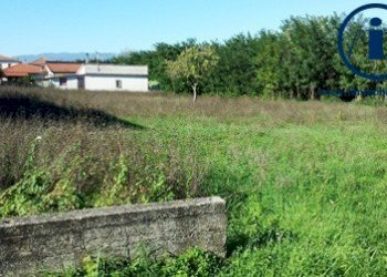 Foto 3 - Terreno edificabile LOCALITA' STRADELLE
 
1, Alvignano - foto 3